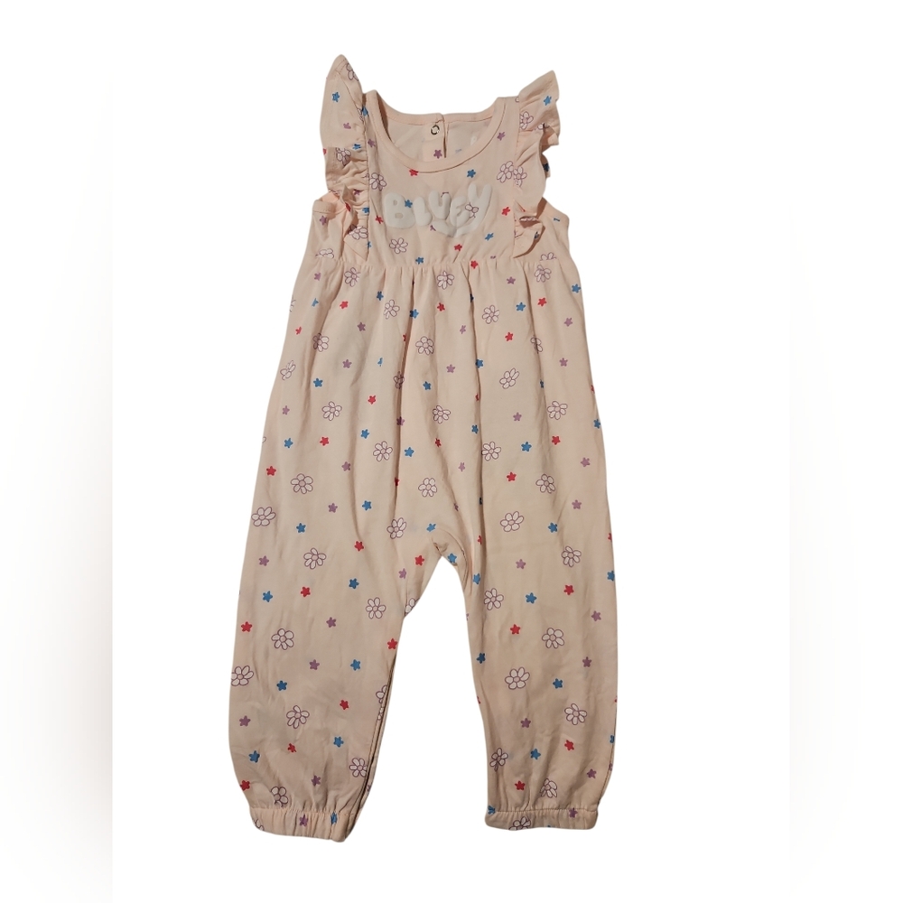 Bluey Baby Girl Romper Jumpsuit 18M Floral Ruffle One Piece
